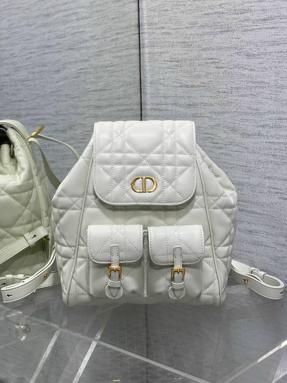 Backpack 006